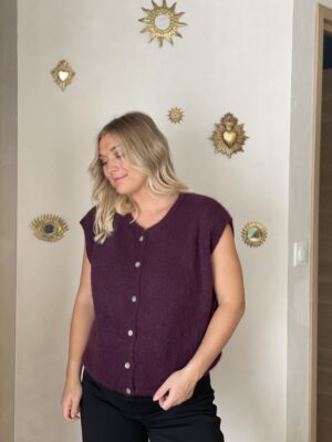 Gilet Robin Aubergine